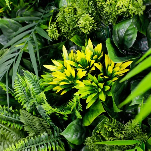 exotic exotic