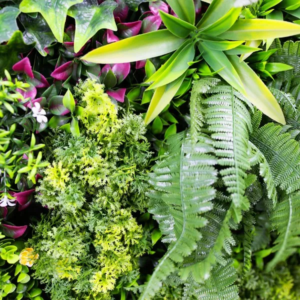 jungle jungle